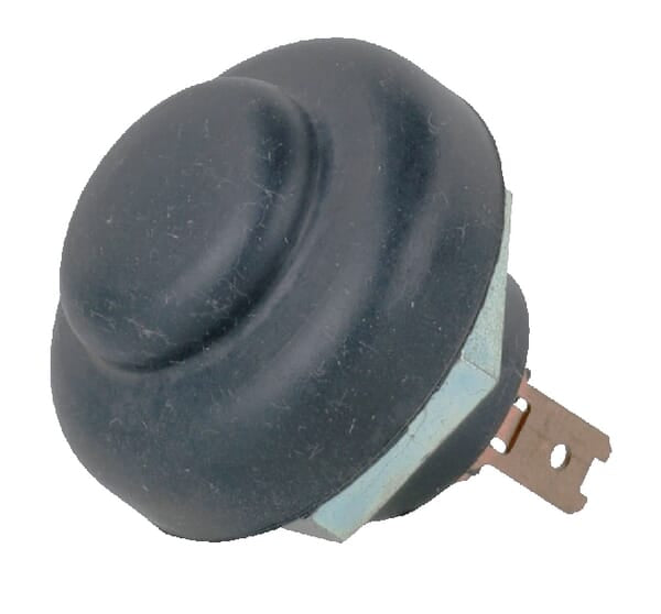 Etesia Druckschalter ET30296