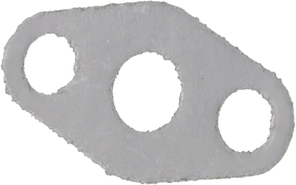 AGCO Ovale Dichtung F184230100070