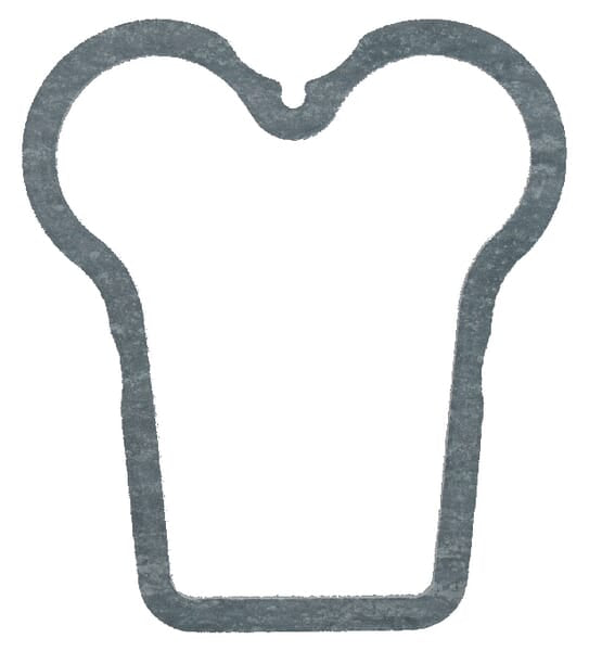 AGCO Ventildeckeldichtung F385200210171