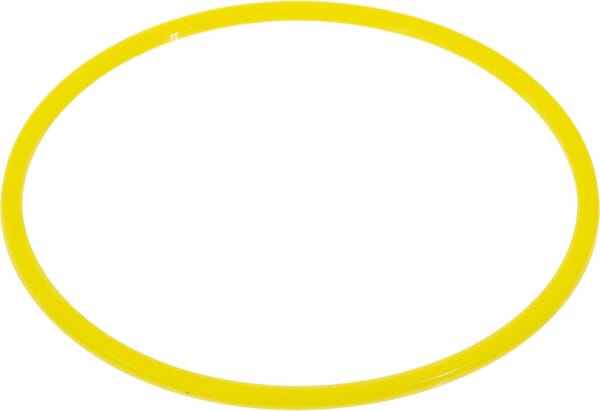 New Holland / Case UNTERLEGSCHEIBE - 2 STÜCK 83993389 original CNH Ersatzteil