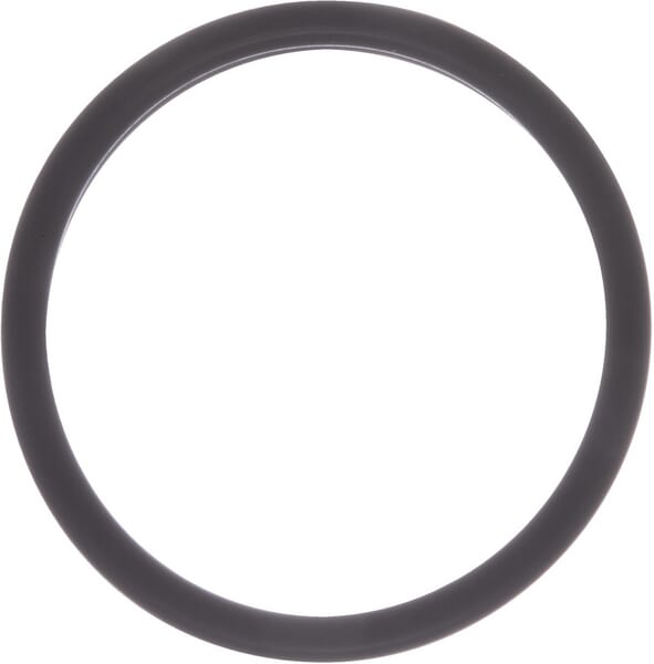 New Holland / Case DICHTUNG - 2 STÜCK E0NN7C081AA original CNH Ersatzteil