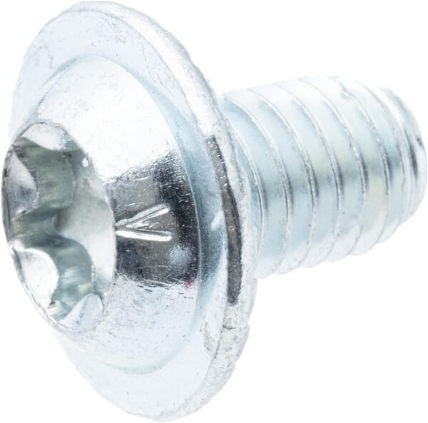 AS-Motor Torx-Hülsenkopfschraube (10x) - 10 Set - G00009174