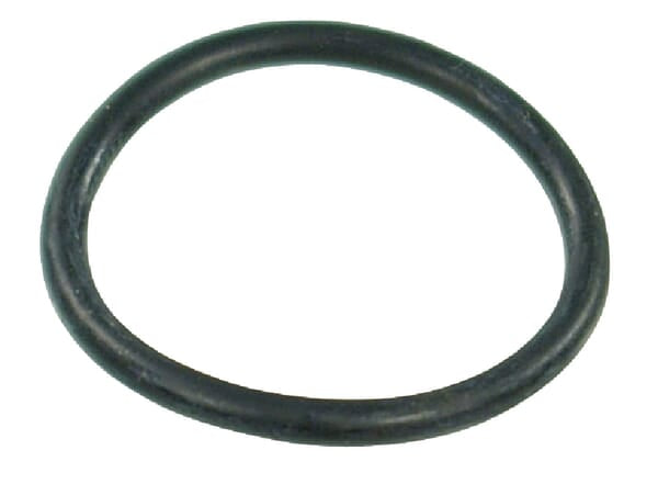 Arag O-Ring 29,20 x 3 EPDM G10061