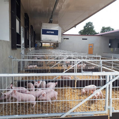 HETWIN Einstreuroboter ASTOR