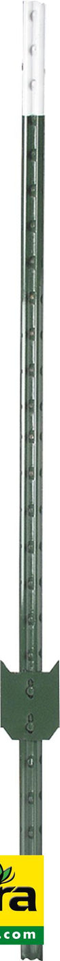 Patura T-Pfosten, grün, l = 1,52 m,lackiert (Palette mit 200 Stück) 171504