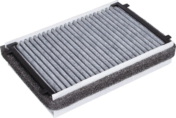 Filtre à charbon actif