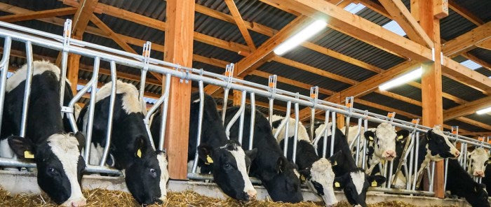 Kerbl LED Steuerung für Zeitsteuerung LED Hallenstrahler - 345000