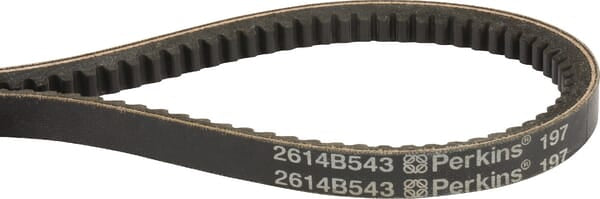 V-belt