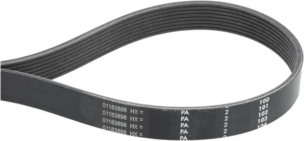 Alternator belt
