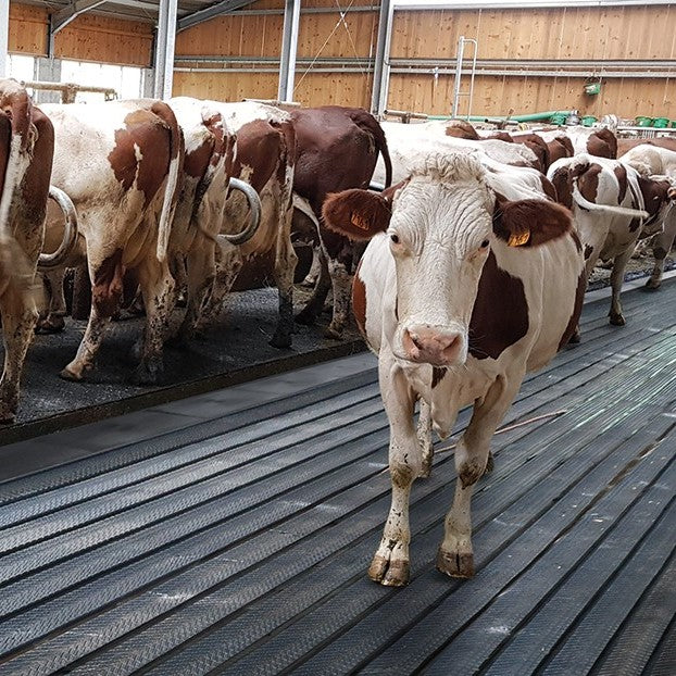 Magellan walkway flooring