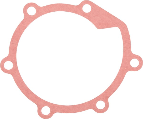 Mitsubishi Wasserpumpendichtung Mitsubish MM432136