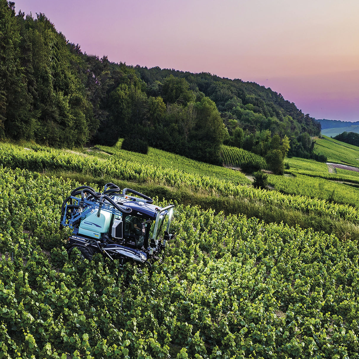 New Holland BRAUD Traubenvollernter