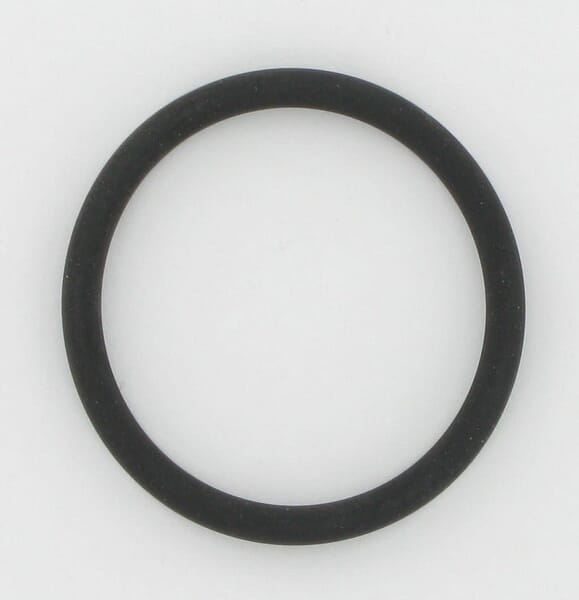 Original New Holland CNH Ersatzteil Nummer 83925189 O-RING