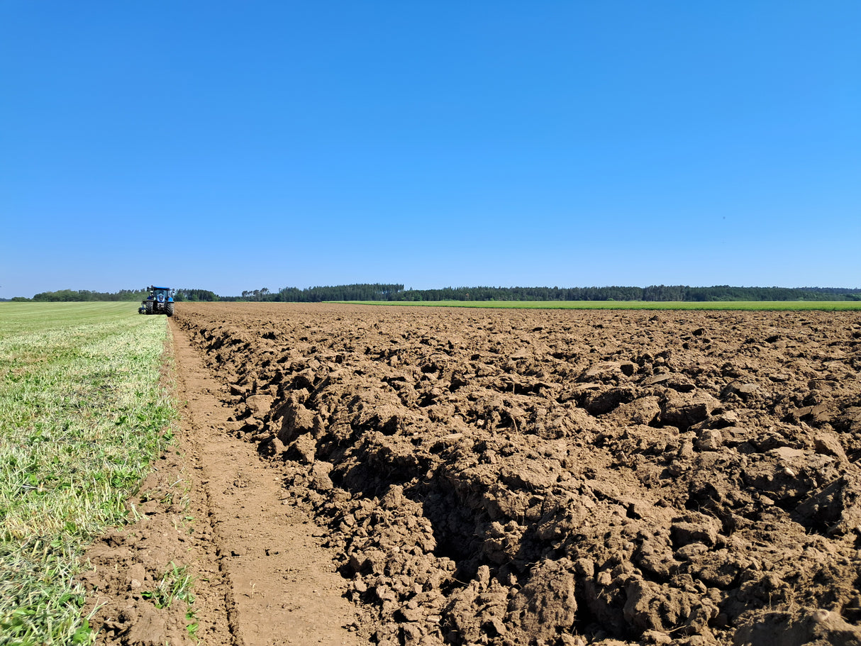 Överum 5-Schar Pflug  DX-H5 (Vorführer)