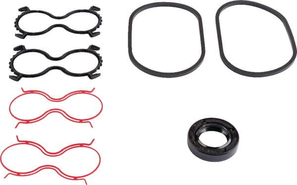 Gasket set Polaris 20