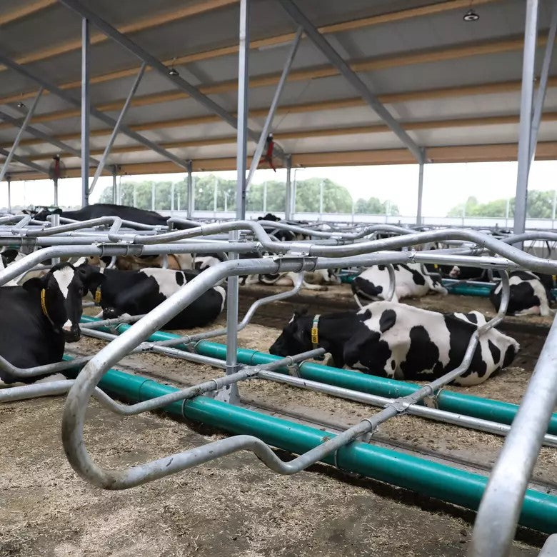 Combi Comfort lying box