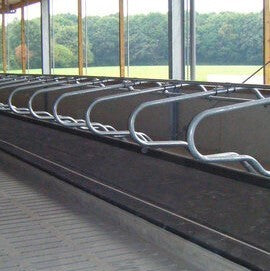 Durasoft cow mattress