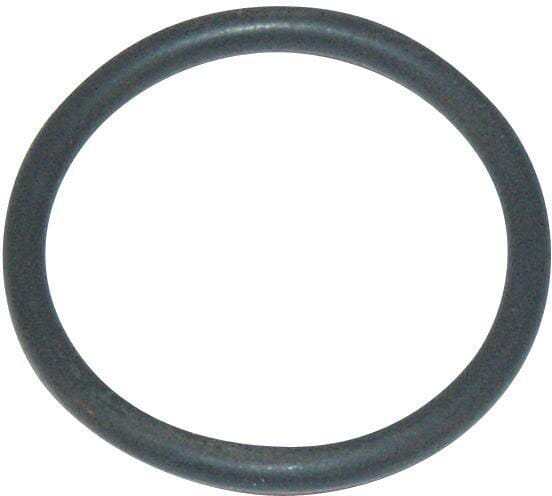 Arag O-Ring 28,17 x 3,53 EPDM G11054