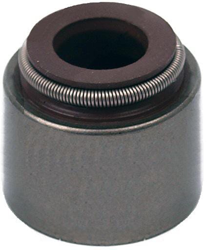 Oil seal