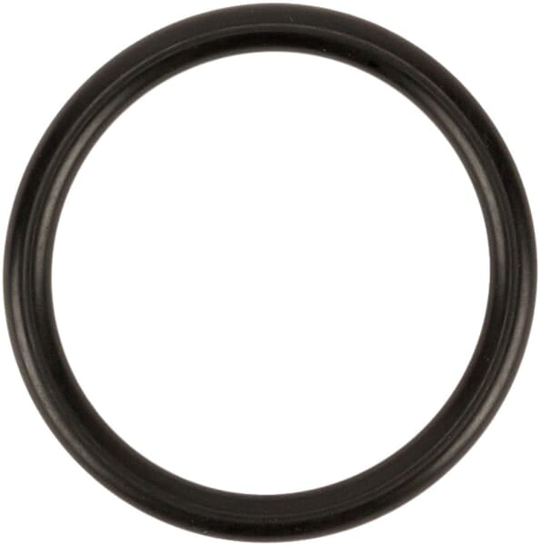 O-ring D31.34 (RIF.4125)