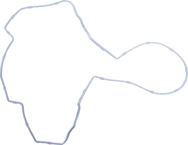 AGCO Ventildeckeldichtung V837073749