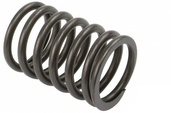 Valve spring