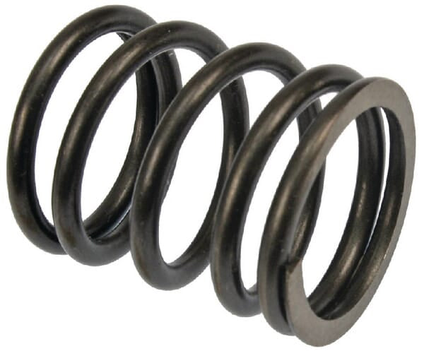 Valve spring
