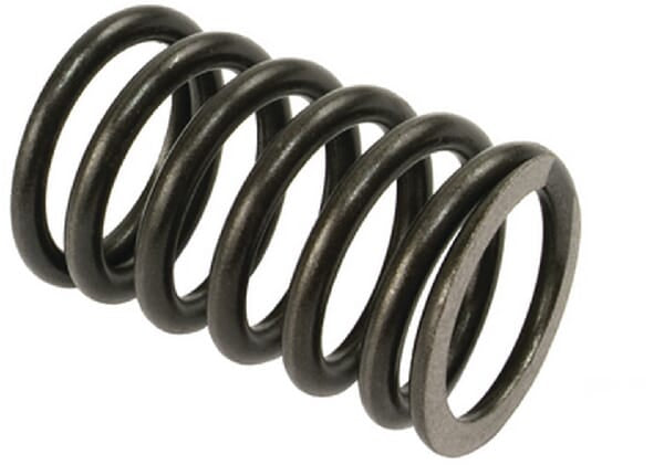 Valve spring