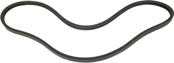 Courroie du ventilateur