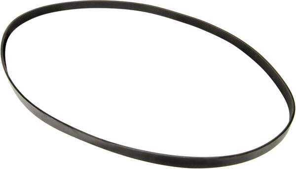 Courroie du ventilateur