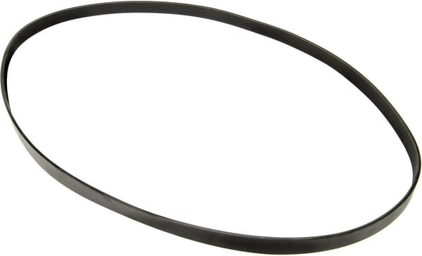 Courroie du ventilateur