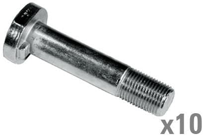 Rim screw