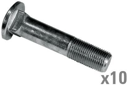 Rim screw