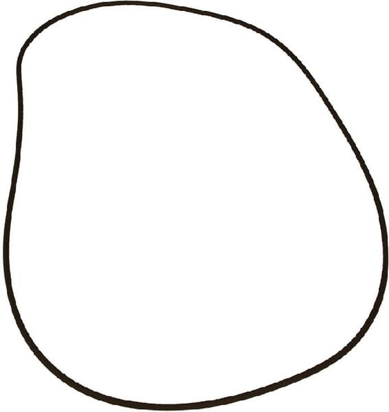 Vapormatic O-Ring VPJ7344