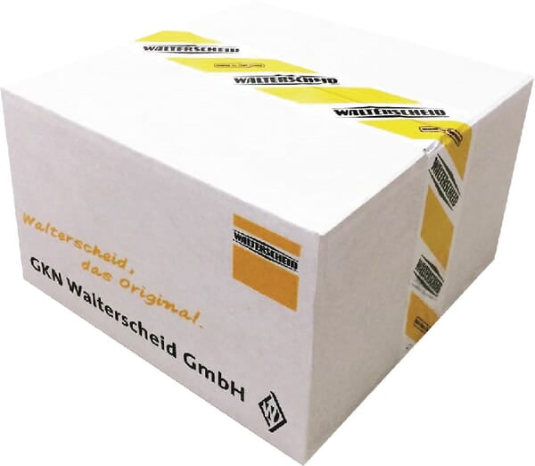 KRAMP Hohlschraube 1201906