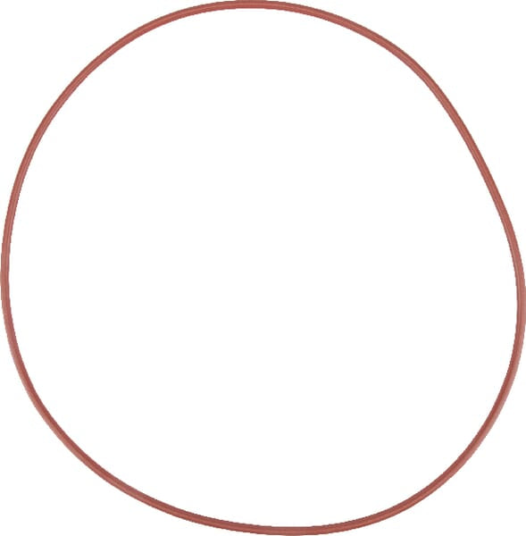 AGCO O-Ring X549036500000