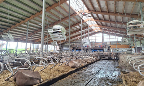 Stallklima Optimierung auf dem Betrieb Huschitt