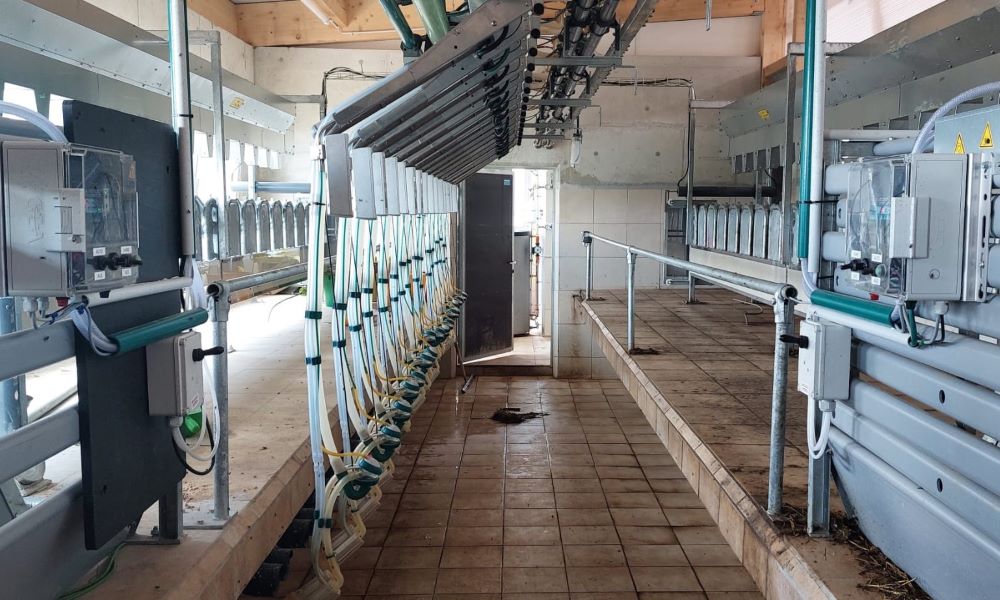 Moderner Fortschritt am Forggensee: Neuer GEA SwingOver Ziegenmelkstand