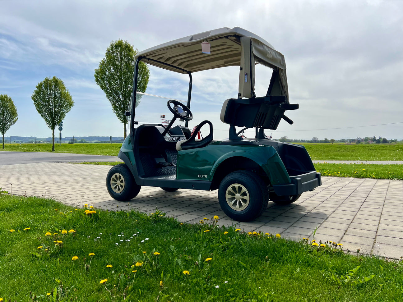 Elektrische Golf Carts