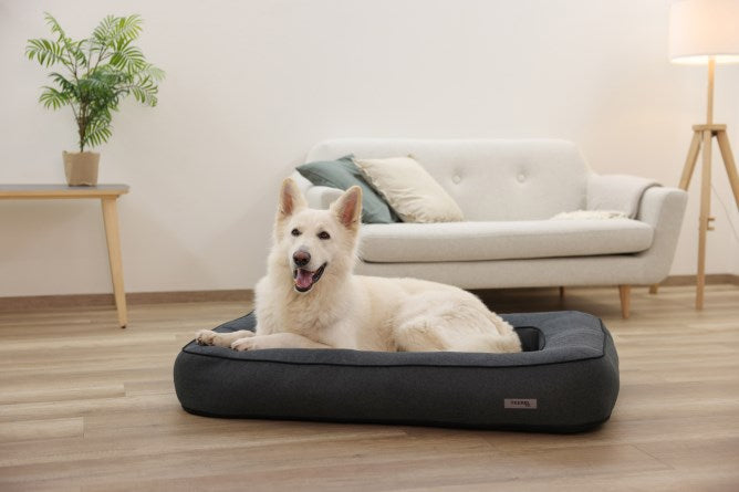Kerbl Liegekissen & Betten für Hunde