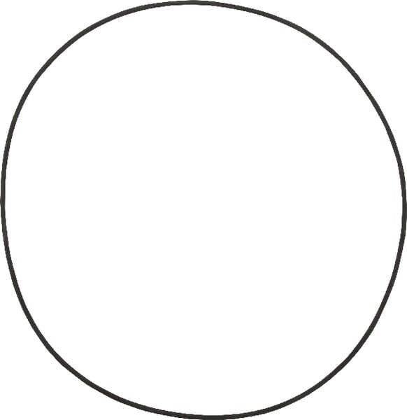 KRAMP O-Ring 001051037