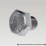 Original GEA Sechskantschraube 0019-6897-300 Ersatzteil