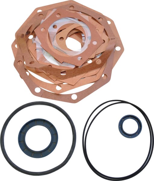 Maschio-Gaspardo Dichtungssatz DC F03100071R
