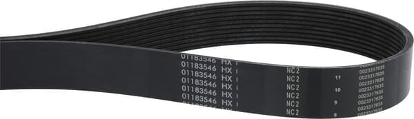 V-ribbed belt