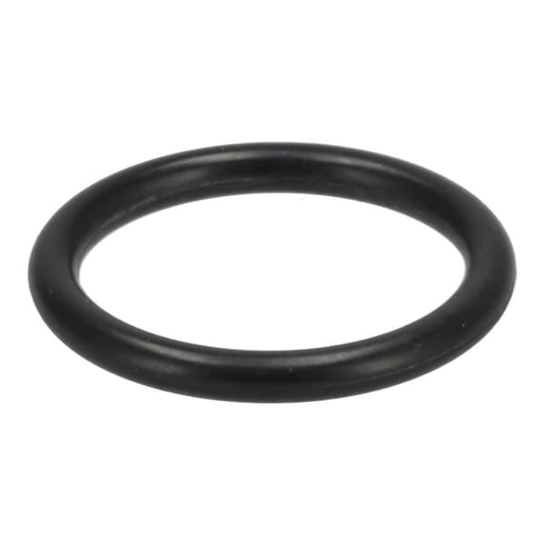 O-ring