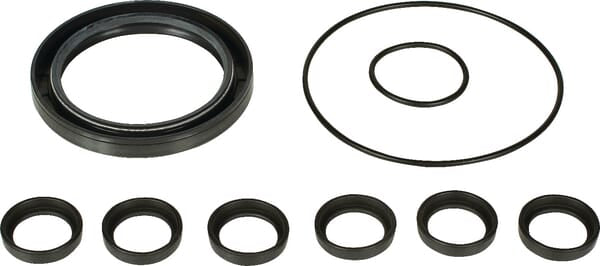Bertolini Pumpen-Ersatzset Bertolini - 1 Set - 039874973