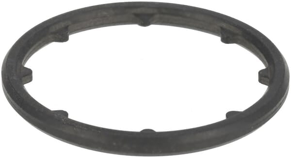 Deutz Gummipackungsring 04910022