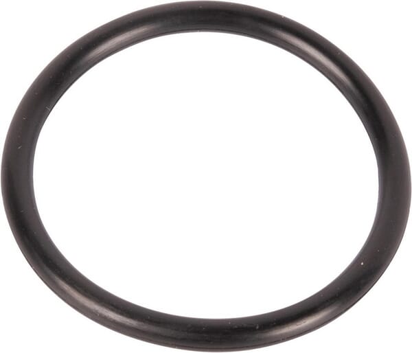 Goldoni O-Ring 37,69x3,53/415 06230096