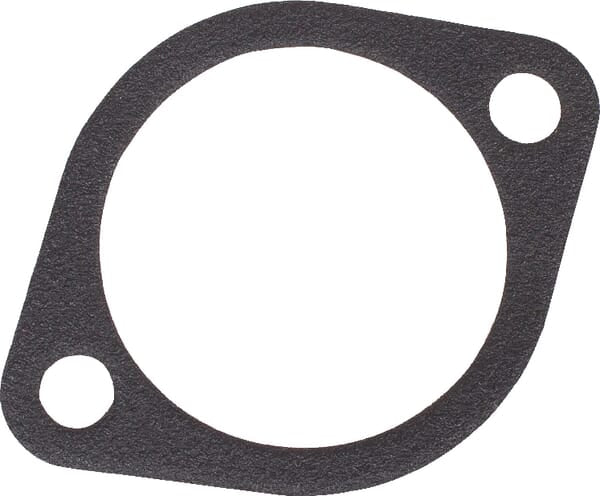 SDF Group Dichtung Thermostat - 1 Stück - 090000790