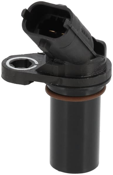 Weidemann Sensor - 1 Stück - 1000295187